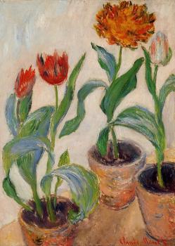 Claude Oscar Monet : Three Pots of Tulips